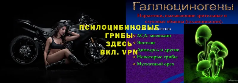 Где продают наркотики Кольчугино Канабис  Альфа ПВП  Кетамин  Меф мяу мяу 